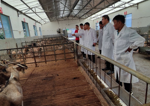 图片1.png 图片1.png